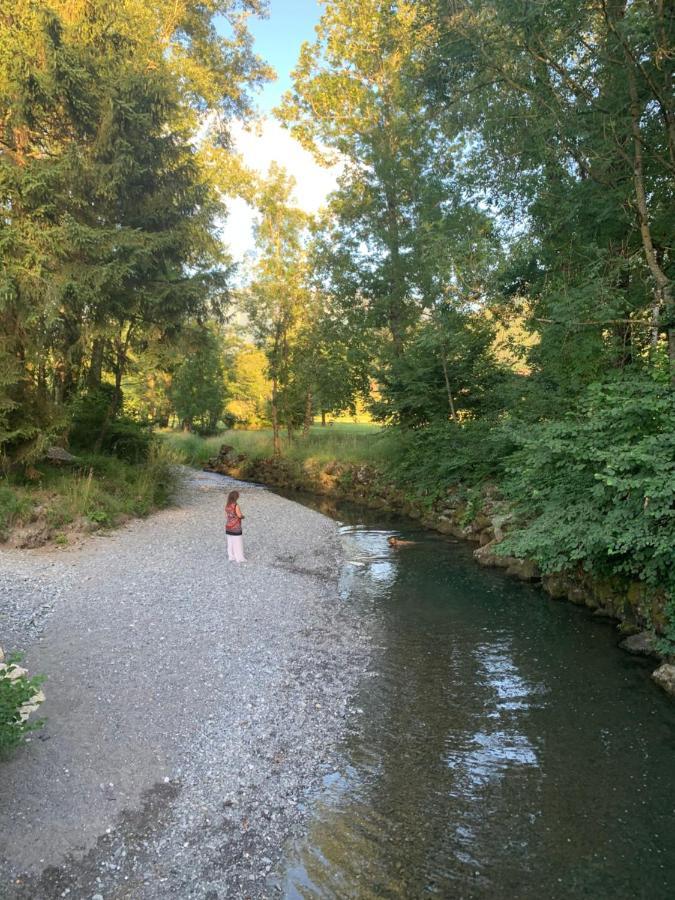 Petit Cocon Entre Lac, Golf Et Montagne, Proche D'Annecy Giez Exterior photo